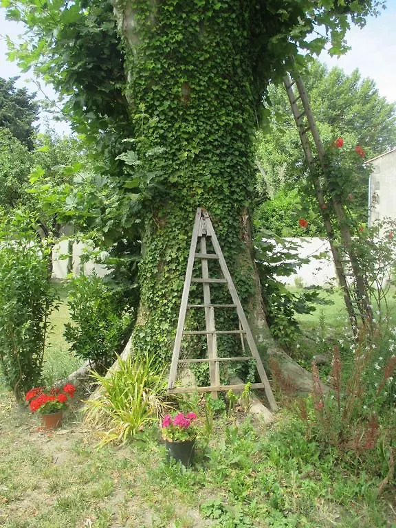 Villa Mas Le Nathakassou à Cabannes